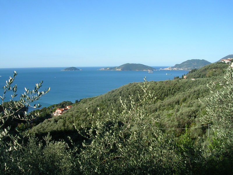 Zanego