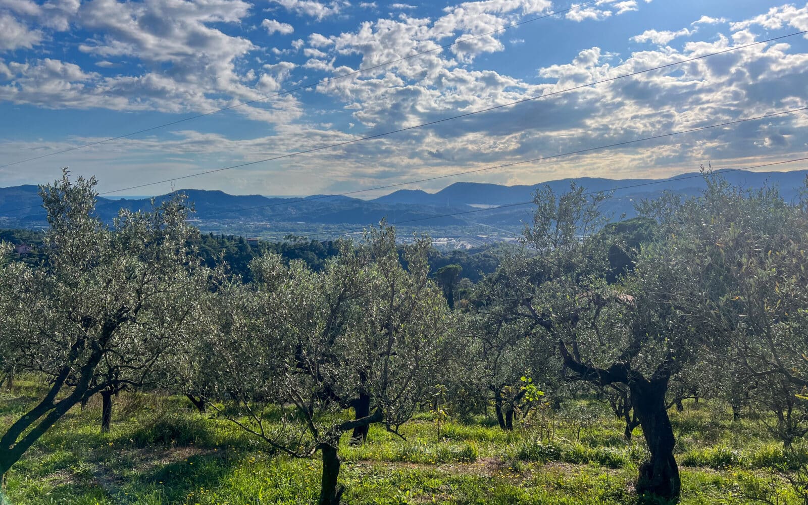 Villa Caprigliola