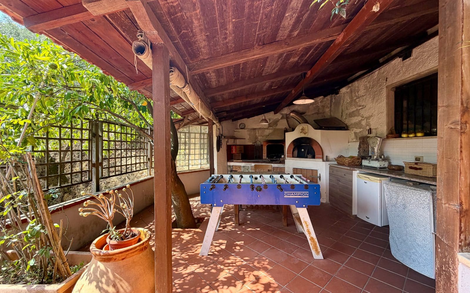 Casa Camelia