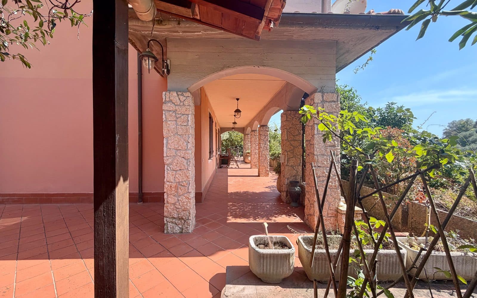 Casa Camelia