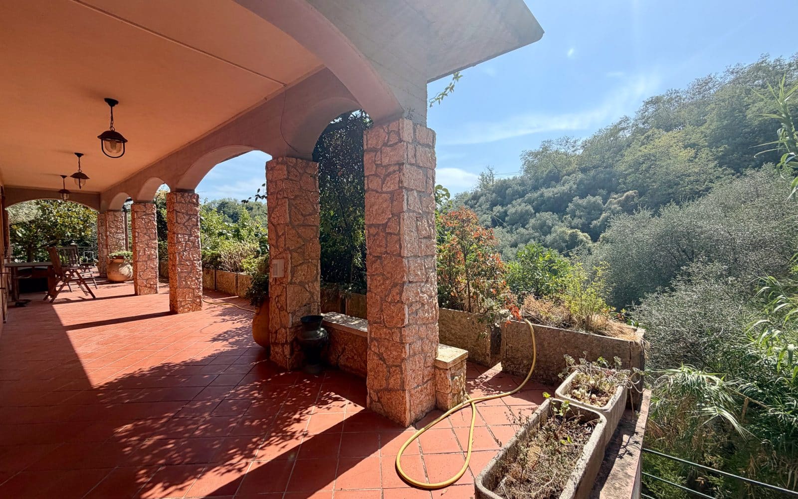 Casa Camelia