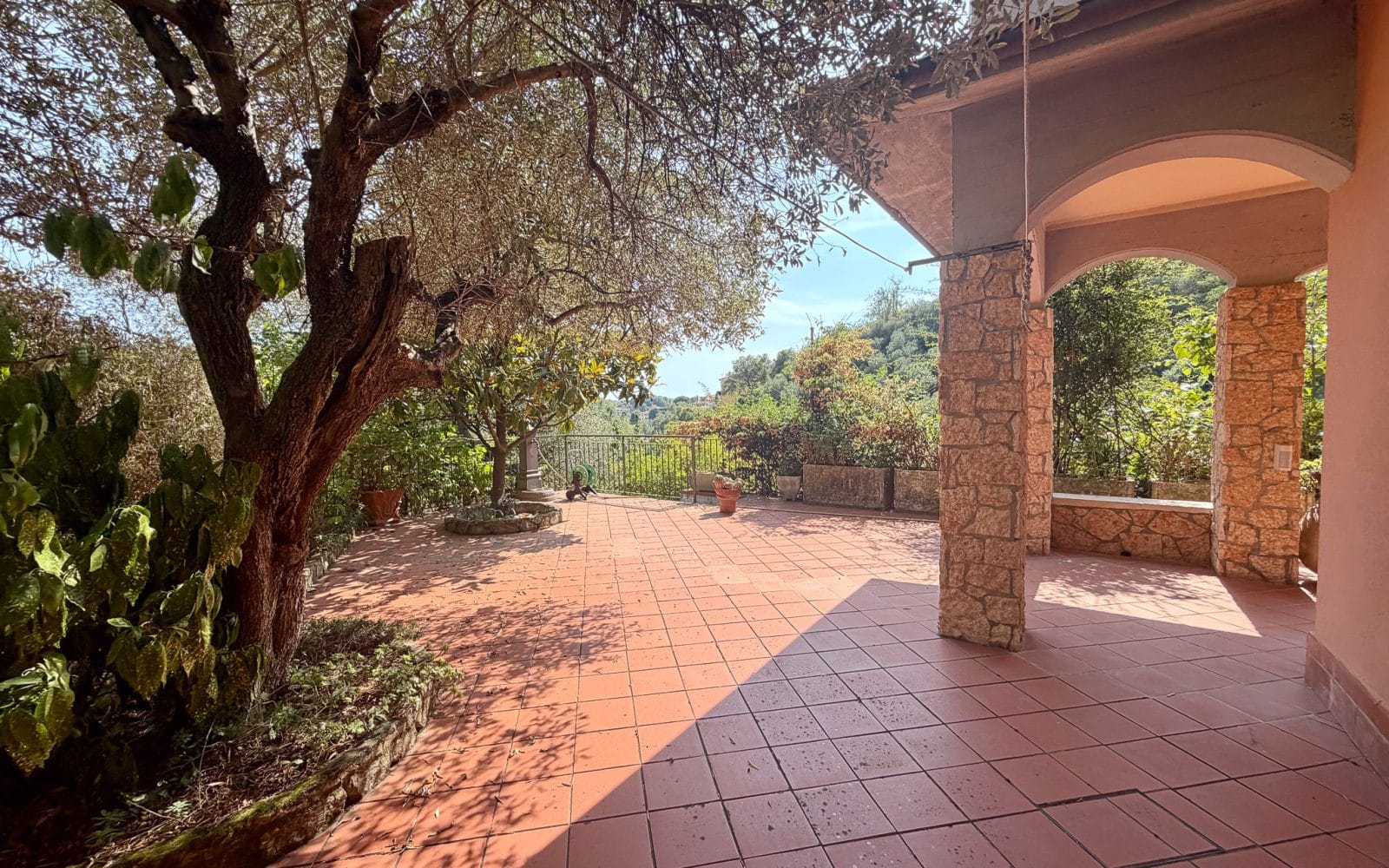 Casa Camelia