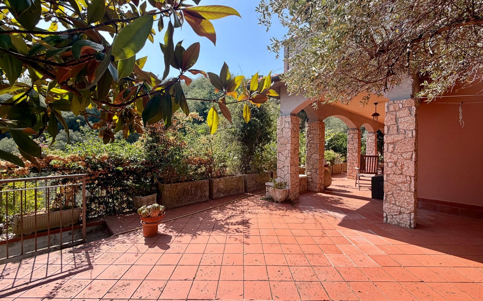 Casa Camelia