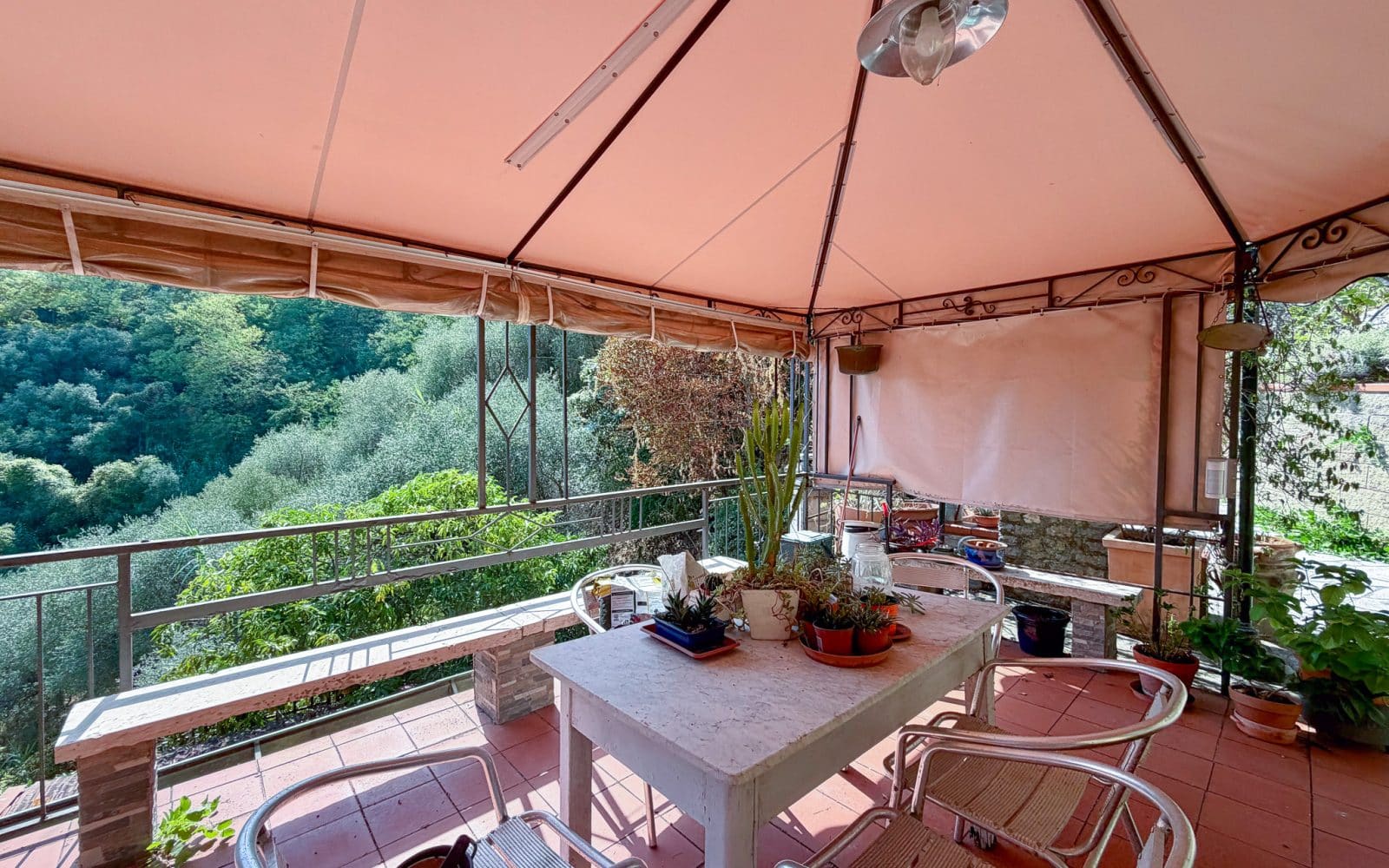 Casa Camelia